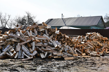 Stocks of birch firewood. Harvesting firewood for the winter.のeditorial素材