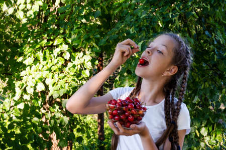 in summer garden young cute girl with pigtails in white T-shirt holds glass vase with ripe cherries and brings one berry to her mouth. Delicious and healthy food. Copy spaceの写真素材