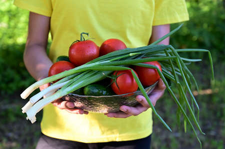 girl is holding a plate with vegetables, tomatoes, cucumbers, green onions. Proper nutrition,...