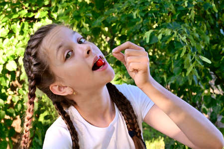 in the summer garden young cute girl with pigtails in white T-shirt brings one ripe cherry berry to her mouth. Delicious and healthy food.の写真素材