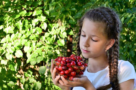 pretty girl with pigtails in white T-shirt is holding glass vase with ripe, juicy cherries. Concept of gardening and harvesting. A useful product. Copy spaceの写真素材