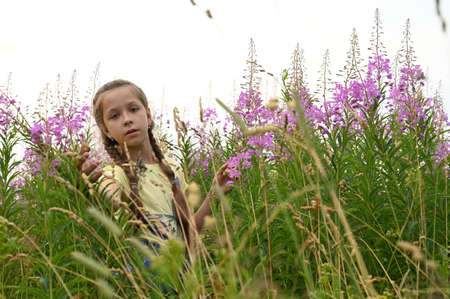 beautiful teenage girl among the pink flowers of Ivan-tea or a blooming Sally. Medicinal plant willow-grass grows in the meadow. Wildflowersの写真素材