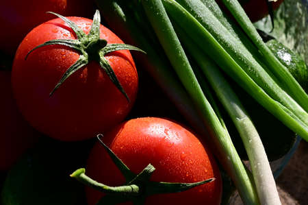fresh vegetables, tomatoes and green onions in water droplets in sunlight. Proper nutrition, healthy lifestyle, diet. Vegetarianism. Close-up. Selective focusの写真素材