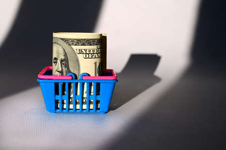 Dollar bills in a mini grocery basket on a white background with rays of light with a shadow, The concept of shopping, wealth, spending moneyの写真素材