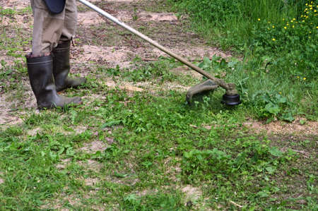 Gardener mows grass with trimmer, brush mower or an electric tool for mowing lawn on sunny day. Copy...