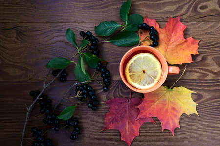 Autumn mood. Ð¡up of tea with lemon, chokeberry and colorful maple leaves on wooden table. Flat...