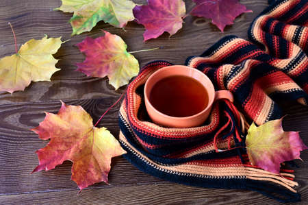 Autumn composition. A cup of tea and warm knitted scarf on wooden table with colorful maple leaves. Concept of autumn, home comfort and warmthの写真素材