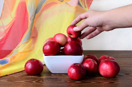 Autumn composition of red apples lying on wooden table and in white vase. Woman's hand taking an apple. Harvest time. Colorful natureの写真素材