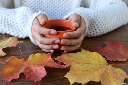girl's hands in knitted white warm sweater hold cup of tea, yellow autumn leaves on wooden table. Hello, autumn!の写真素材