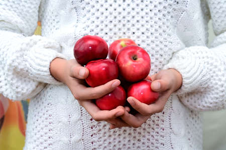 girl's hands are holding beautiful ripe red apples. Harvest time. The concept of healthy eating