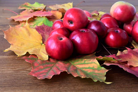 Autumn composition of red apples and yellow maple leaves lying on wooden table. Harvest time. Colorful natureの写真素材