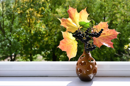 Autumn bouquet of chokeberry and yellow maple leaves in ceramic vase in sun. Composition of black aronia berries on windowsill on brightly lit background of trees. Copy spaceの写真素材