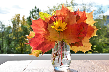 Colorful autumn maple leaves in glass vase, brightly lit background. Beautiful autumn bouquet on windowsillの写真素材