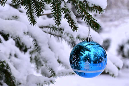 Blue Christmas ball toy decorates a snow-covered fir treeの写真素材