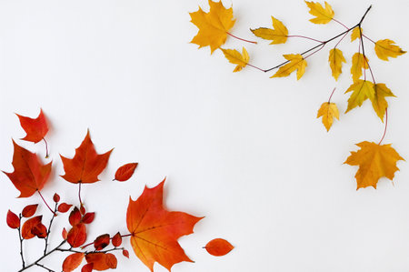 Beautiful autumn layout of yellow and red leaves on  white background. Natural decor. Flat layout with top view. Copy space.  Autumn,  concept of Thanksgivingの写真素材
