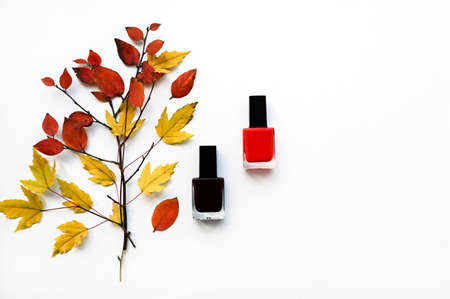 Beautiful autumn layout of orange and red leaves and nail polish on white background. Flat layout...