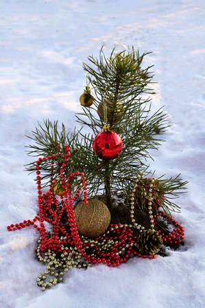 A small Christmas tree stands decorated in the forestの写真素材