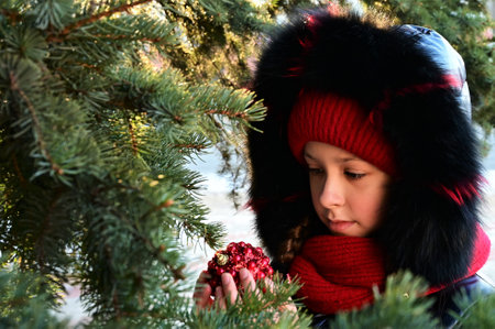 a girl at a natural Christmas tree with a Christmas toy in her hands in winterの写真素材