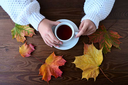 women's hands in a knitted sweater hold cup of tea, yellow autumn leaves on wooden table. Flat layout with top view. Hello, autumnの写真素材