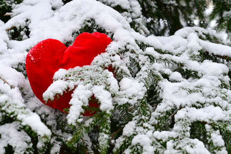 red plush heart on a spruce branch in the snow. Valentine's dayの写真素材