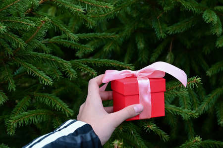 girl's hand holds beautiful red gift box with pink satin ribbon and bow on background of lush green...