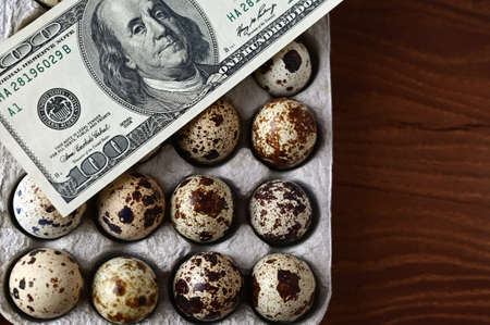 quail eggs in cardboard packaging on wooden background for sale to client and money. top view....