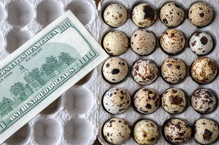 quail eggs in cardboard packaging for sale to customer. On top are money, dollars. selective focus. top view. Business quail breeding, poultry farming. Healthy food, dietの写真素材