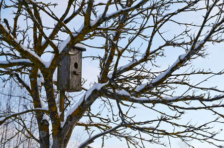 old wooden birdhouse on a tree in early spring. Simple bird house design. Shelter for breeding birds.の写真素材
