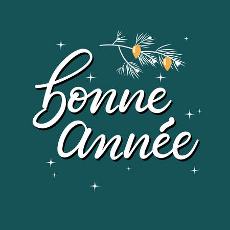 Handdrawn greeting card Bonne annee.のイラスト素材