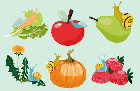 Colourful set of snails sitting on fruits and vegetables.のイラスト素材