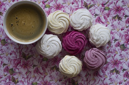 zephyr with a cup of coffee on a colored backgroundの写真素材