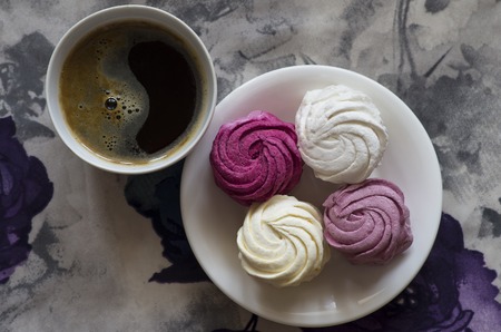 zephyr with a cup of coffee on a colored backgroundの写真素材