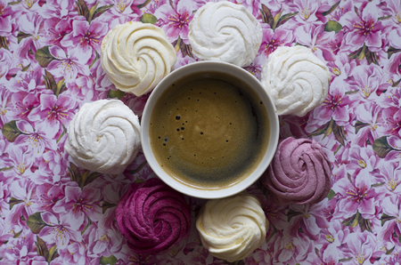 zephyr with a cup of coffee on a colored backgroundの写真素材