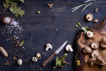 Fresh mushrooms with herbs and spices. Fall season ingredients background. Copy space, top view.の写真素材
