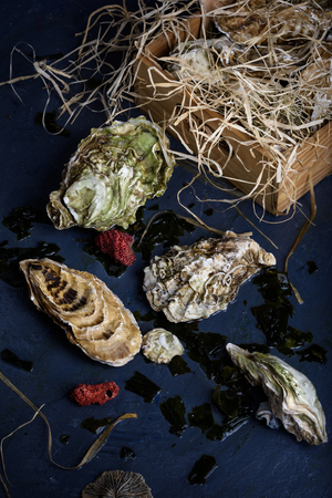 Seafood produce, oysters in a wooden box. Close-up.の写真素材