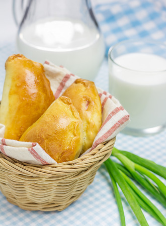 Russian pastries (pirogi) filled with eggs and green onionの写真素材