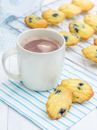 Madeleines with blueberries and a cup of hot chocolateの写真素材
