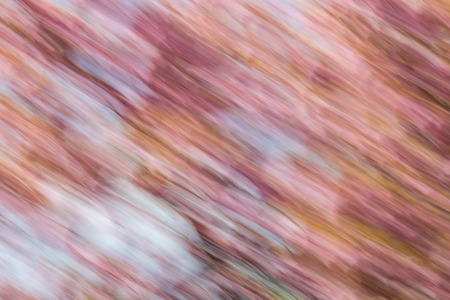 Abstract background image of cherry blossom flowers with a diagonal motion blur effectの写真素材