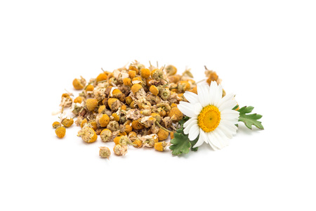 Heap of dry herbal chamomile tea with fresh chamomile flowers isolated on white backgroundの写真素材