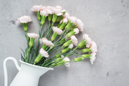 Small tender pink carnation flowers in enamel vase on gray concrete with copy space, mother's day greeting card background, horizontal, flat layの写真素材