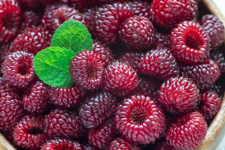 Heap of ripe wild raspberry in a wooden bowl and on the table, horizontal, closeup