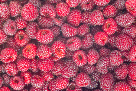 Background with ripe wild raspberry, top view, horizontal