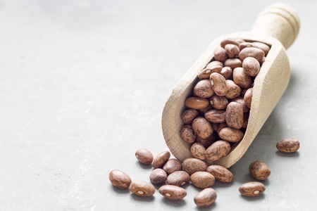 Uncooked dry pinto beans in wooden scoop, copy space, horizontalの写真素材