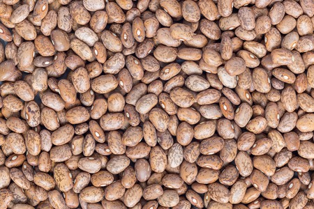 Food background with uncooked dry pinto beans, top view, horizontalの写真素材