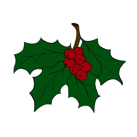 Christmas holly leaves with berry, vector illustration on a whiteのイラスト素材