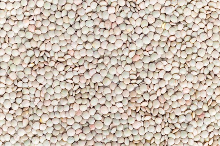 Food background with uncooked dry green lentils, horizontal, top viewの写真素材