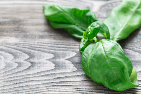 Fresh basil leaves on gray wooden background, horizontal, copy spaceの写真素材