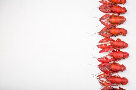 Border made from crayfishes, gray concrete background, copy space, horizontal,  top view