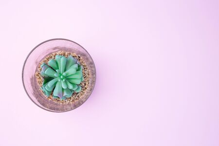 Artificial succulent in a glass terrarium on a pink background, home decoration, horizontal, copy space, top viewの写真素材