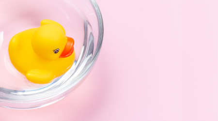 One rubber duck floating in the water in glass bowl, pink background with place for copy space, horizontal, top viewの写真素材